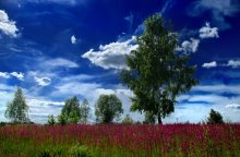 Weißrussland / ***