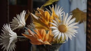 Still Life / ***