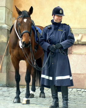 berittene Polizei / ***