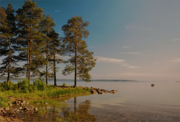 Sonniger Morgen / ***