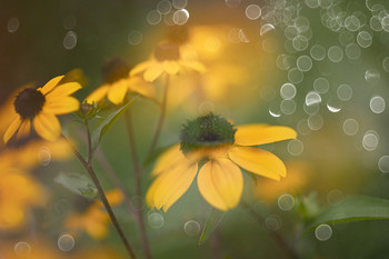 Summertime... / ***