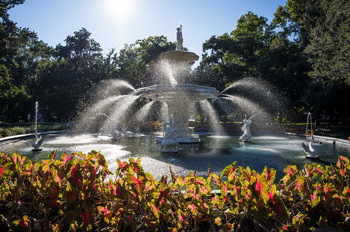 Summertime brightness / Savannah, GA