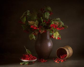 Kalina Krasnaja / ***