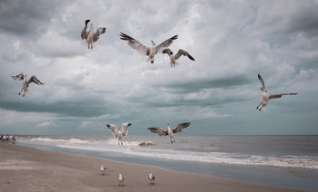 achtung, achtung / shorelife