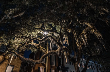 Nighttime lights / Savannah, GA