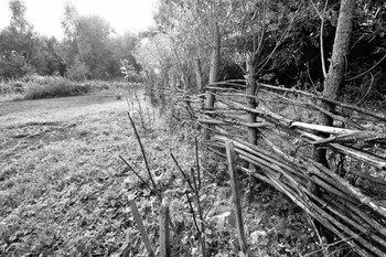 ländlichen Geschmack / ***
