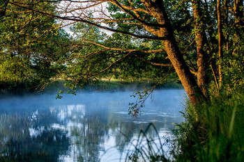 Morgen am Neman / ***