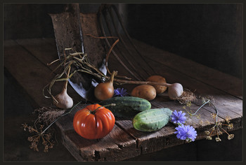 Ruhm zum Labor! / ***