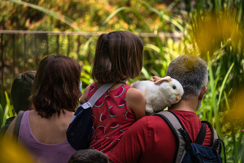 Retrato de espaldas / Día de familia