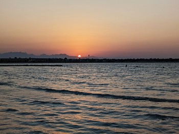 sehen, die Sonne / ***