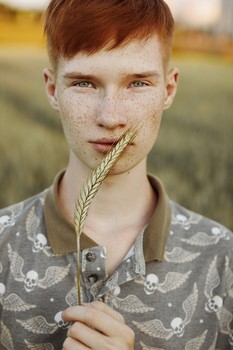  / ***