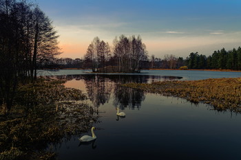 Schwanensee / ***