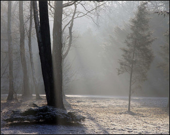 Schatten / ***