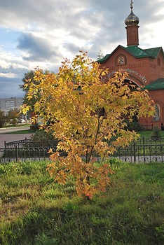 Herbstfarben. / " " "