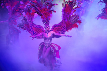 ROYAL CIRCUS / ROYAL CIRCUS. A world-class show.