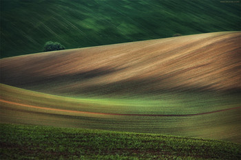  / https://www.instagram.com/amazing_phototour/
