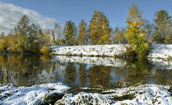 Winter Herbst / ***