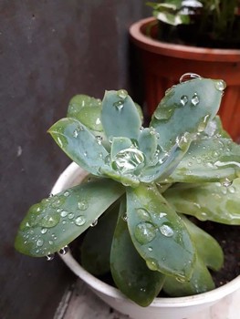  / Amazing nature