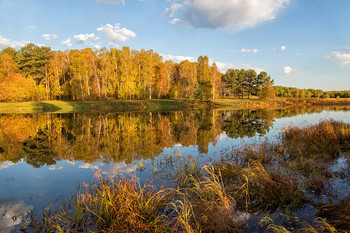 Indian Summer. / ***