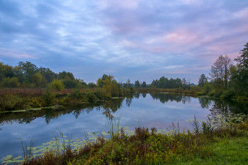 Herbstmorgen. / ***