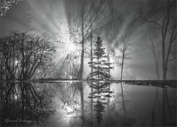 im Park / ***