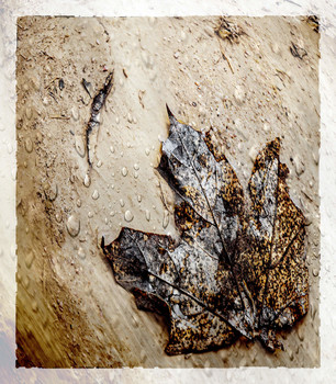 Herbst / ***