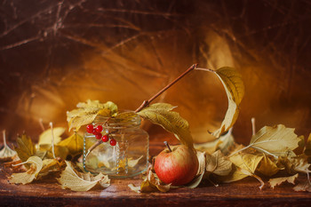 Herbst Farbe / ***