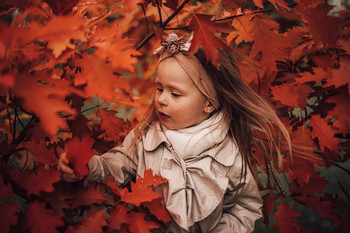 Herbstblatt / ***
