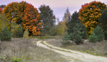 Straße zum Herbst / ***