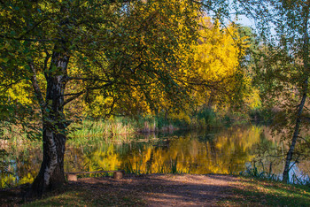 Goldener Herbst / ...