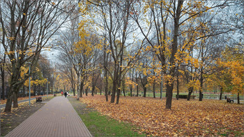 Im Herbst des Parks ... / ***