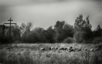 Rustikal / ***