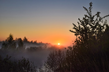 Mai Morgen / """""