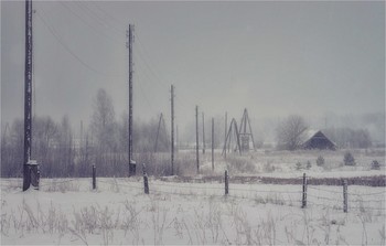  / 2009