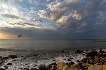 Abendstimmung am Meer / ***