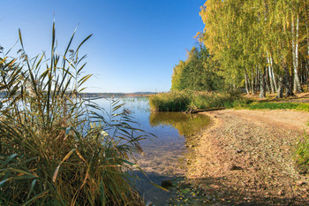 Herbst-Strand / ***