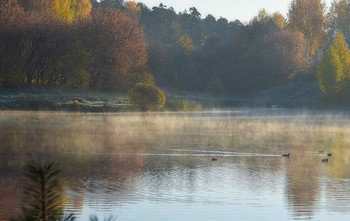 Herbst / ______________