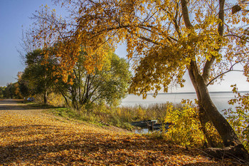 Herbst auf dem See / ***