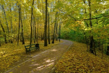 Im Herbst Park / ***