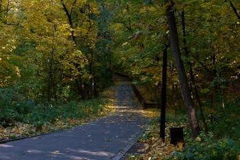 Herbst in der Stadt / ***