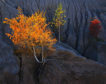 Ein Tag im Herbst / ***