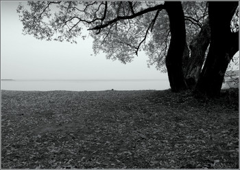 Herbst / ***