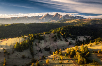 Cold morning / Cold morning on the meadows under the Tatras in Slovakia