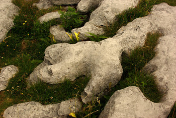 der Burren / aufgenommen in Irland