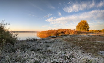 Frosty morning / ***