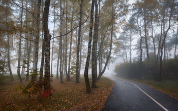 Straße im Nebel / ***
