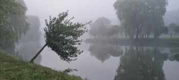 Herbstnebel ... / ***
