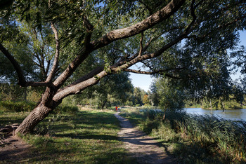 Der Park ... / ***