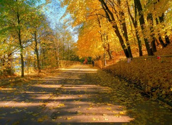 Im Herbst Park / ***