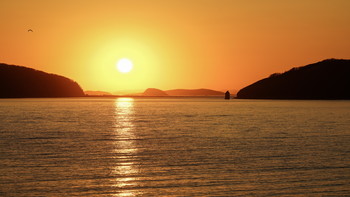 Waterscape / ***
